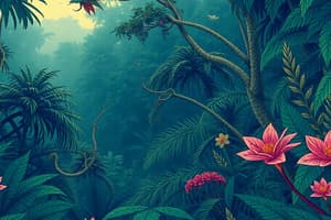 Tropical and Subtropical Regions Quiz