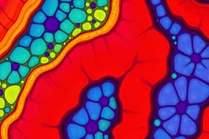 Epithelial Tissue Overview