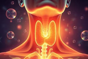 Thyroid Hormones Mechanism of Action