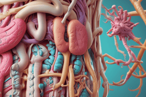 Digestive System Nerve Supply and Layers Quiz