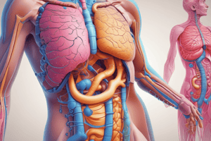 MBBS Year 1 Gastrointestinal Lectures