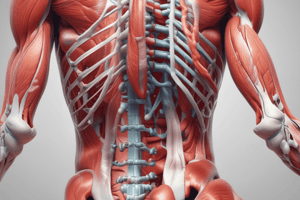 BMS150 wk 9 muscle physiology 2