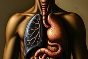 Human Biology: Respiratory and Digestive Systems