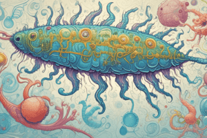 Microbiology: Gram-Positive Bacteria