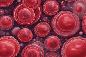 Blood Cell Production During Gestation