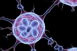 Biology Chapter: Mitosis and Chromosome Structure