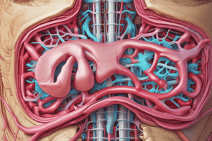 Stomach Anatomy and Nerve Supply Quiz