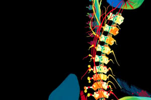 Cervical Plexus Overview Quiz