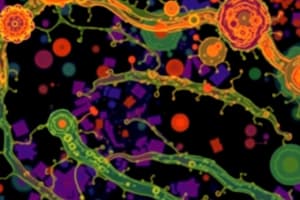 Klebsiella pneumoniae Biofilm and Resistance