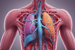 Respiratory System Chapter 22 Quiz