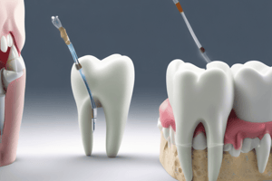 Odontología Restauradora II TEMA 3.1 Principios Generales de la Endodoncia