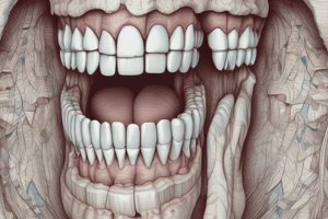 Anatomy of Teeth Surfaces