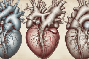 Lecture 2.2b - Common valve pathologies