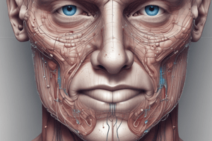 Respiratory System: Nose Anatomy and Function