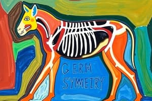 Animal Classification: Symmetry & Germ Layers