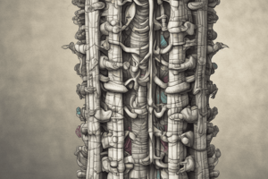 Spinal Column Stability and Mobility