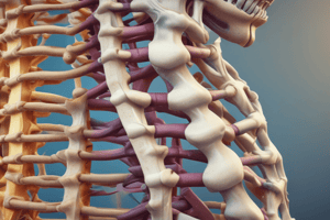 Vertebral Spine Mobility Quiz