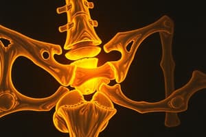 Bone Remodeling Quiz