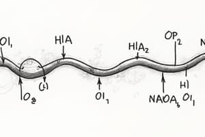 Lipid Metabolism: Beta-Oxidation