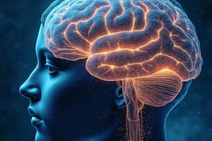 Theories of Consciousness and Attention