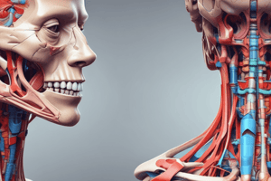 Submental and Submandibular Triangles Anatomy