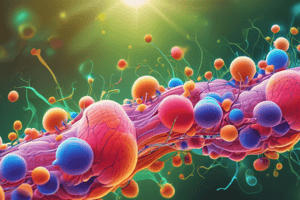 Cellular Respiration: Harvesting Chemical Energy Quiz