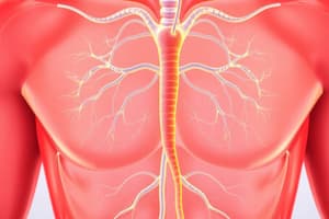 Endocrine System Quiz (BMS Learning Outcomes)