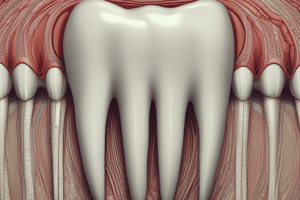 Dentine sheet part 1