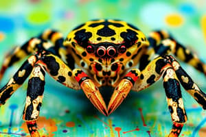 Crab Spider Camouflage in Rainforest