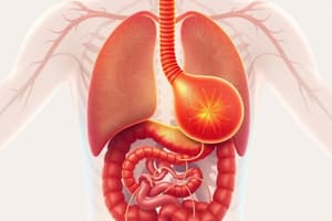 Digestive and Respiratory Systems Quiz