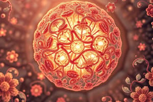 Protein Synthesis Overview