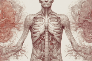 The Respiratory System