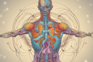 Acid-Base Balance and Buffer Systems in the Human Body