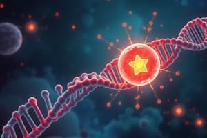 DNA Replication Process Overview