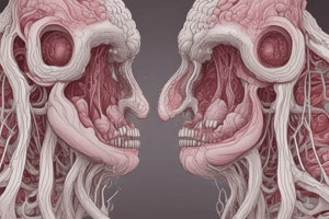 Anatomy of Taste Buds