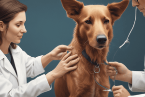 General Injection Techniques in Veterinary Medicine