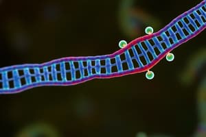 15 - Mecanismos de Reparación de ADN