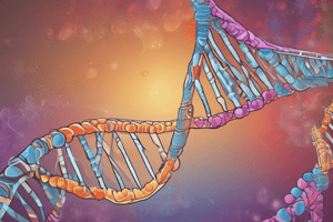 Molecular Biology I Lecture 2-3: DNA Replication and Repair