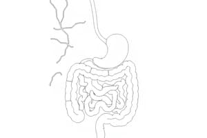 Regolazione dell'Apparato Digerente (Fisiologia 57)