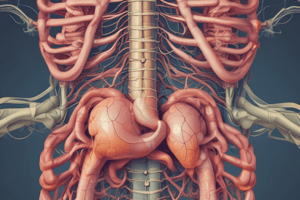 Gastrointestinal System Physiology