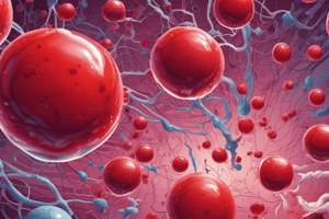 Hematologic System Overview