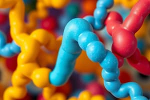 Enzyme Action and Models