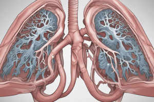 Respiratory System Disorders Quiz