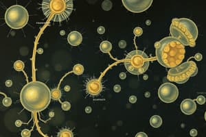 Biochemistry of Saccharomyces cerevisiae