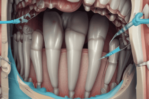 Tema 3.1: Principios Generales de la Endodoncia