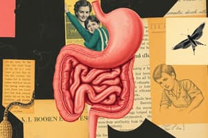 Digestive System Overview Quiz