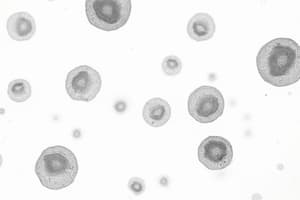 Blood Cells: RBCs, WBCs, and Platelets