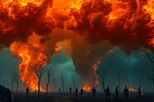 Tornadoes and Zombie Fires Quiz