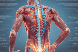 Lower Back Pain Diagnosis and Imaging