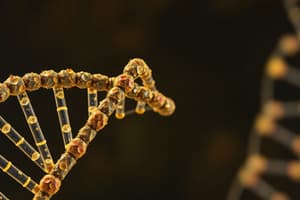 Biologia Molecolare UNIFE: Nucleotidi e DNA